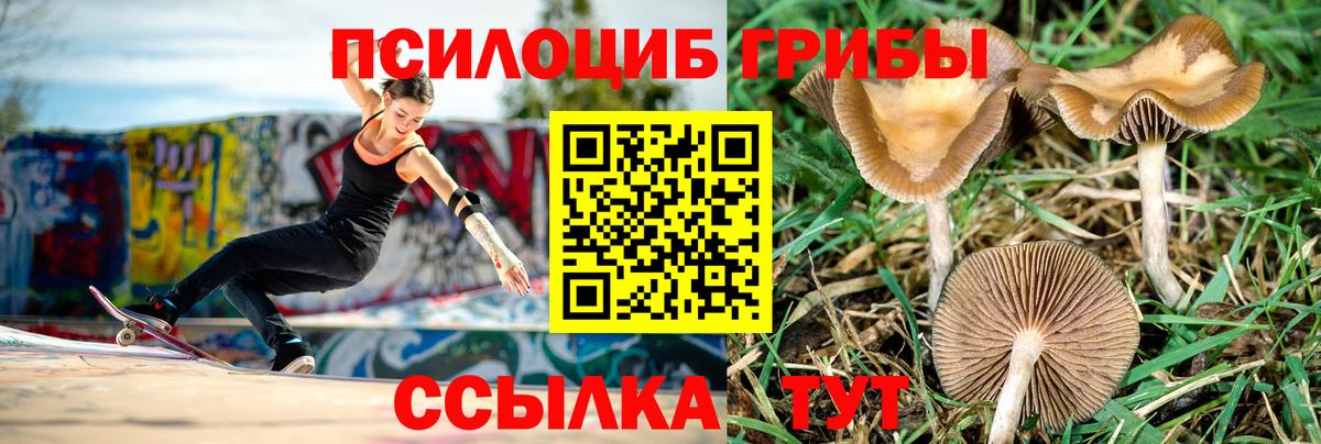 Псилоцибиновые грибы ЛСД Первоуральск