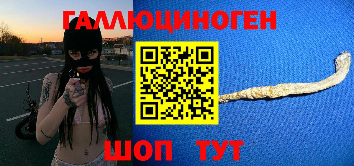 Первоуральск  Псилоцибиновые грибы Psilocybe  Вход с VPN 